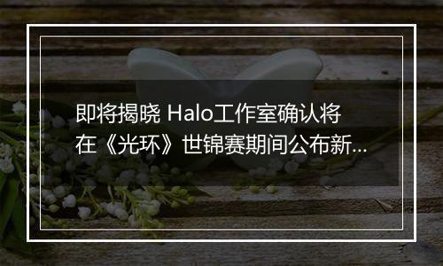 即将揭晓 Halo工作室确认将在《光环》世锦赛期间公布新项目