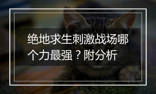 绝地求生刺激战场哪个力最强？附分析