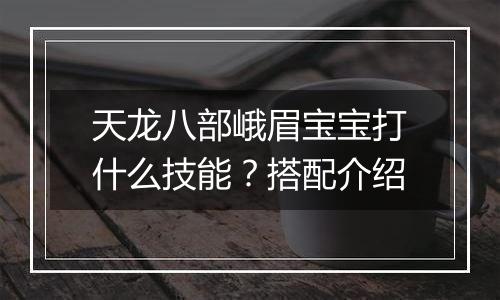 天龙八部峨眉宝宝打什么技能？搭配介绍