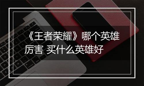 《王者荣耀》哪个英雄厉害 买什么英雄好