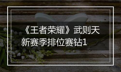《王者荣耀》武则天新赛季排位赛钻1