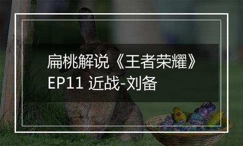 扁桃解说《王者荣耀》EP11 近战-刘备