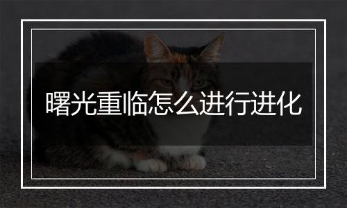 曙光重临怎么进行进化
