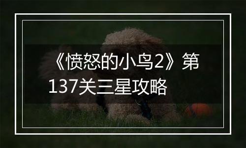 《愤怒的小鸟2》第137关三星攻略