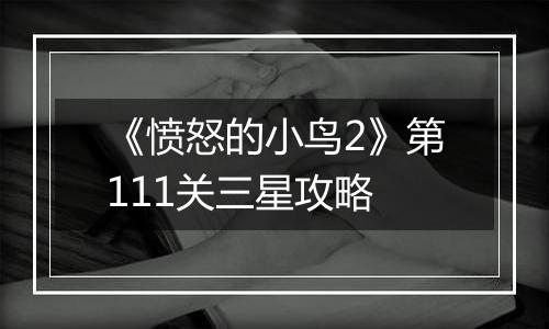 《愤怒的小鸟2》第111关三星攻略