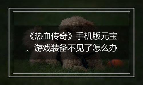 《热血传奇》手机版元宝、游戏装备不见了怎么办