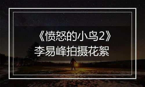 《愤怒的小鸟2》李易峰拍摄花絮
