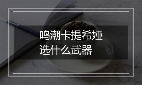 鸣潮卡提希娅选什么武器