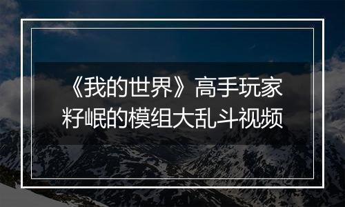 《我的世界》高手玩家籽岷的模组大乱斗视频