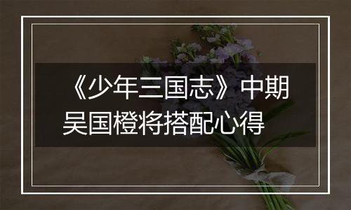 《少年三国志》中期吴国橙将搭配心得