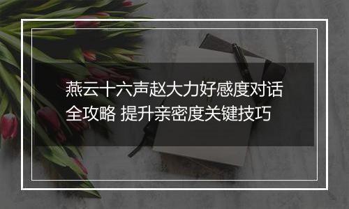 燕云十六声赵大力好感度对话全攻略 提升亲密度关键技巧