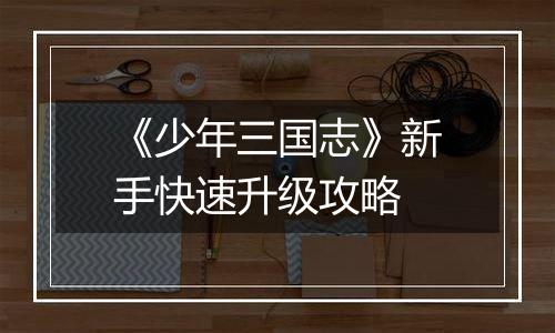 《少年三国志》新手快速升级攻略