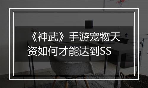 《神武》手游宠物天资如何才能达到SS