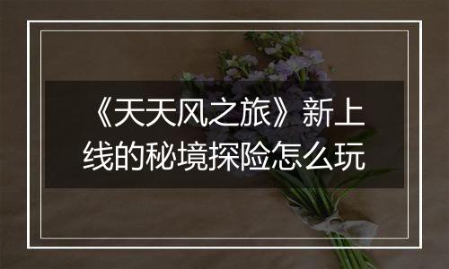 《天天风之旅》新上线的秘境探险怎么玩