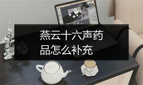 燕云十六声药品怎么补充