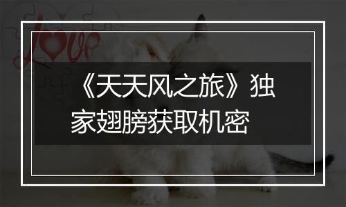 《天天风之旅》独家翅膀获取机密