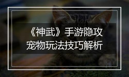 《神武》手游隐攻宠物玩法技巧解析