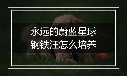 永远的蔚蓝星球钢铁汪怎么培养