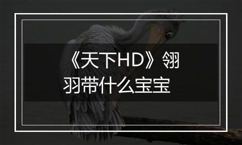《天下HD》翎羽带什么宝宝