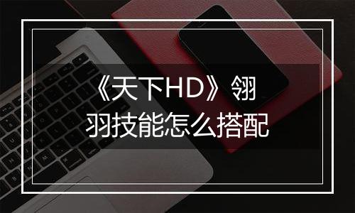 《天下HD》翎羽技能怎么搭配