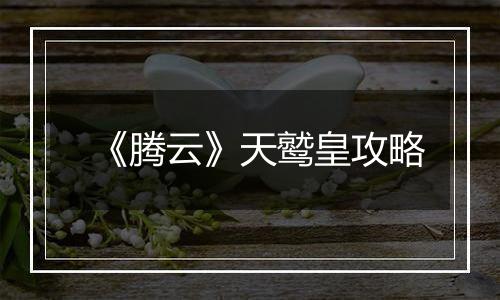 《腾云》天鹫皇攻略