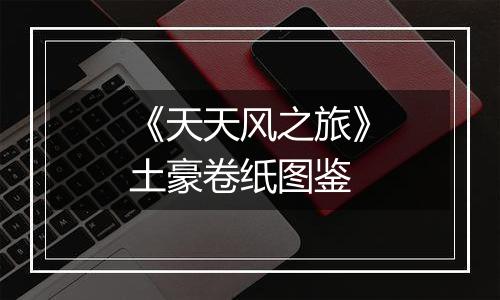 《天天风之旅》土豪卷纸图鉴