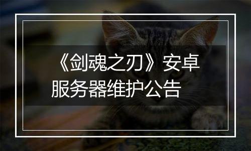 《剑魂之刃》安卓服务器维护公告