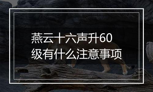 燕云十六声升60级有什么注意事项