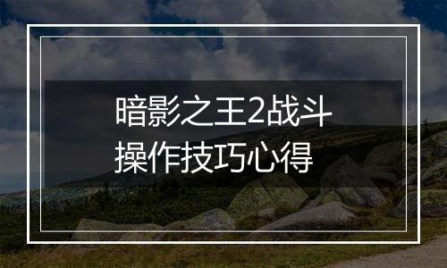 暗影之王2战斗操作技巧心得