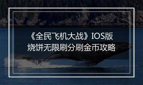 《全民飞机大战》IOS版烧饼无限刷分刷金币攻略