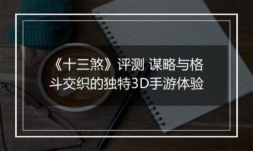 《十三煞》评测 谋略与格斗交织的独特3D手游体验