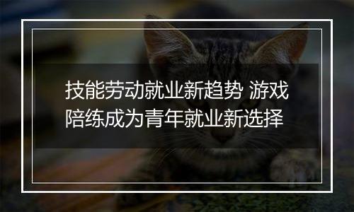 技能劳动就业新趋势 游戏陪练成为青年就业新选择