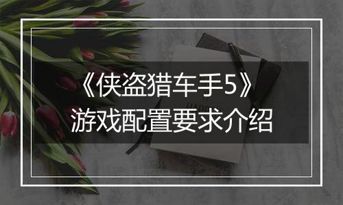 《侠盗猎车手5》游戏配置要求介绍