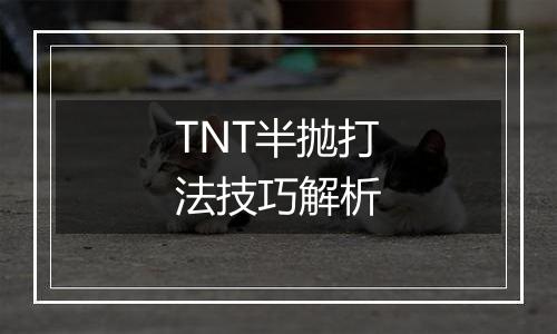 TNT半抛打法技巧解析