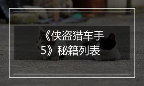 《侠盗猎车手5》秘籍列表