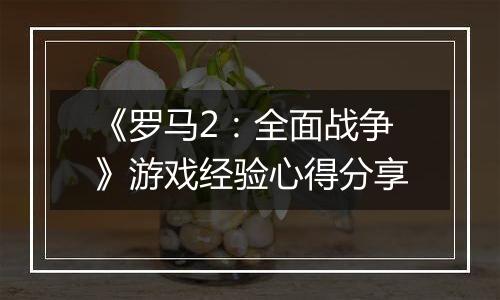 《罗马2：全面战争》游戏经验心得分享
