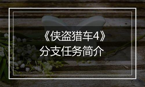 《侠盗猎车4》分支任务简介