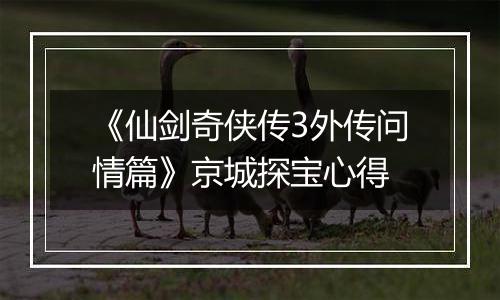 《仙剑奇侠传3外传问情篇》京城探宝心得