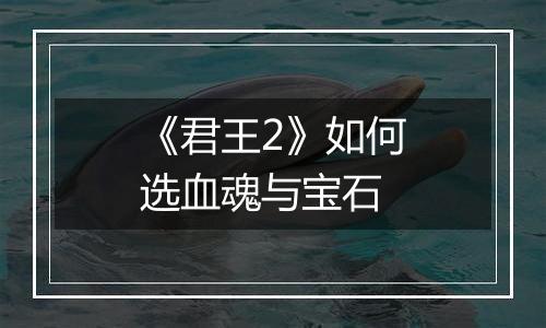 《君王2》如何选血魂与宝石
