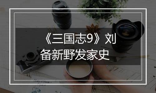 《三国志9》刘备新野发家史