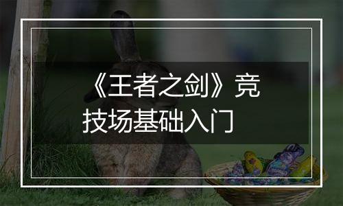 《王者之剑》竞技场基础入门