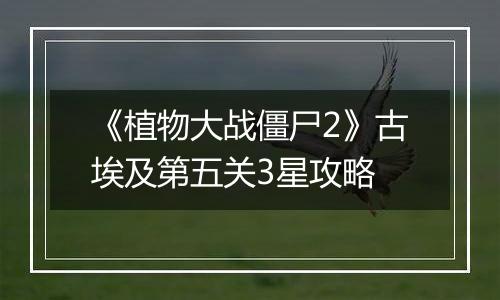 《植物大战僵尸2》古埃及第五关3星攻略