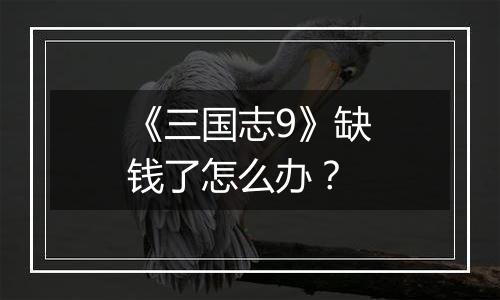 《三国志9》缺钱了怎么办？
