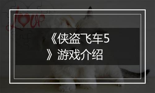 《侠盗飞车5》游戏介绍