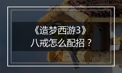 《造梦西游3》八戒怎么配招？
