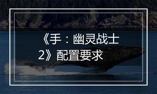 《手：幽灵战士2》配置要求