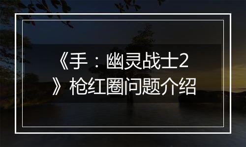《手：幽灵战士2》枪红圈问题介绍