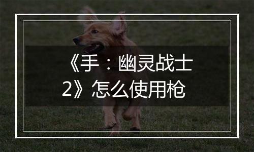 《手：幽灵战士2》怎么使用枪