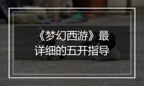 《梦幻西游》最详细的五开指导