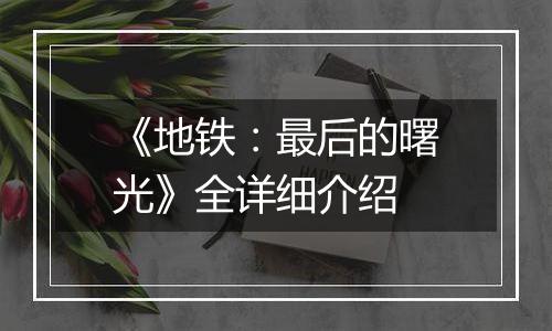 《地铁：最后的曙光》全详细介绍